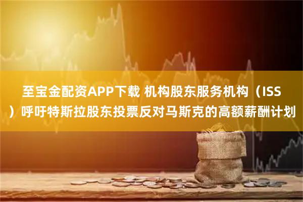 至宝金配资APP下载 机构股东服务机构（ISS）呼吁特斯拉股东投票反对马斯克的高额薪酬计划