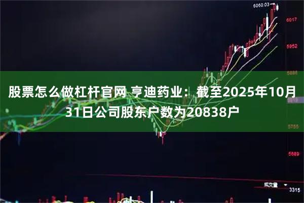 股票怎么做杠杆官网 亨迪药业：截至2025年10月31日公司股东户数为20838户