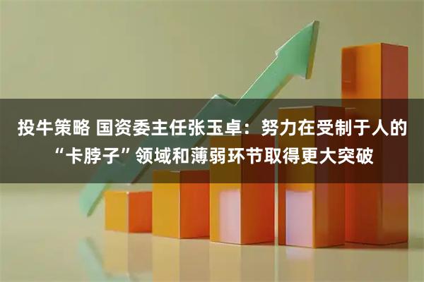 投牛策略 国资委主任张玉卓：努力在受制于人的“卡脖子”领域和薄弱环节取得更大突破