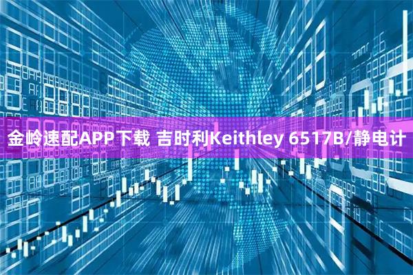 金岭速配APP下载 吉时利Keithley 6517B/静电计