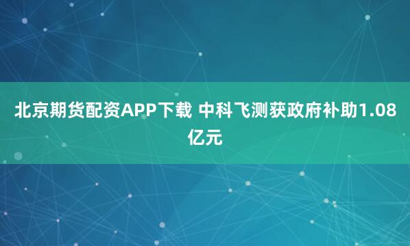 北京期货配资APP下载 中科飞测获政府补助1.08亿元